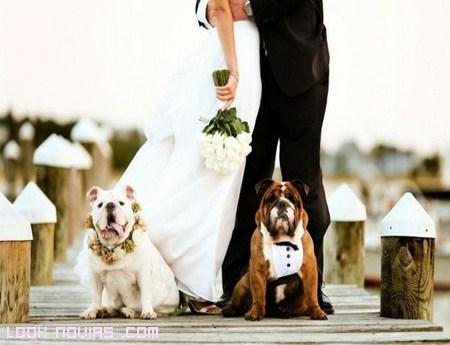 Bodas y mascotas: ¿las hacemos que participen? - Foto: www.looknovias.com Bodas y mascotas: ¿las hacemos que participen? - Foto: www.looknovias.com