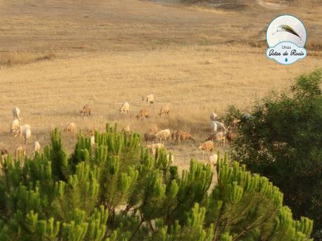 ¡¡Para mí misma!! ¡¡Para mí misma!!