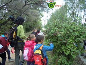 Un curso más abriendo aulas en parques y jardines urbanos xxxxxxxxx