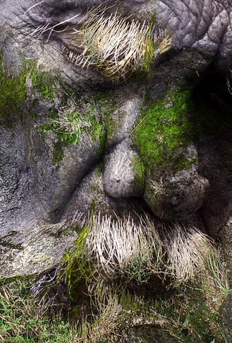 photoshop_creaciones photoshop_creaciones