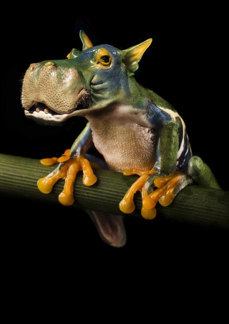 jan_oliehoek jan_oliehoek