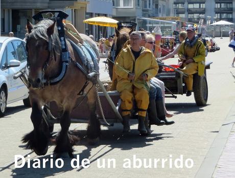 Oostduinkerke: La pesca de camarones a caballo