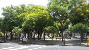 Te voy a contar una historia: Te voy a contar una historia: