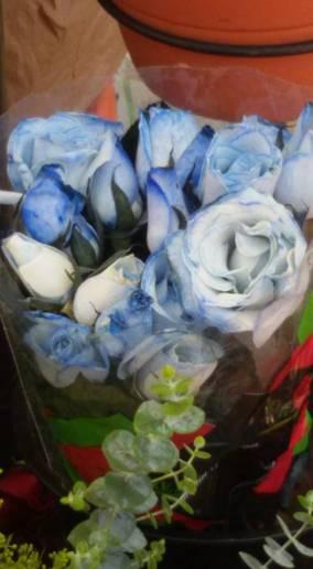 Te voy a contar una historia: 11224009_404965223040169_7815897370494246097_n