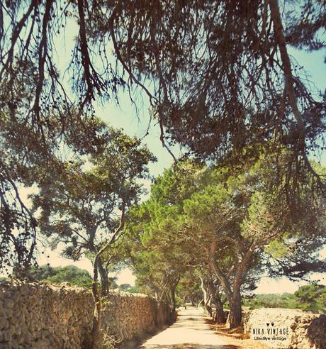 isla, menorca, turismo, fotografia, playa, cala mesquida, torreon, Es Pa Gros