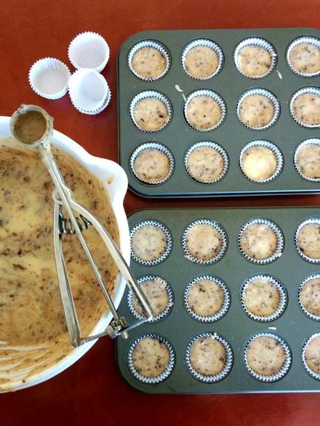 muffins toddy | resultado de la votación