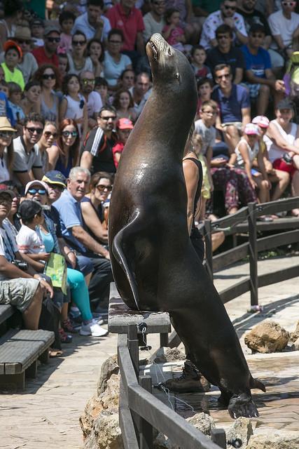 Parque de Cabárceno