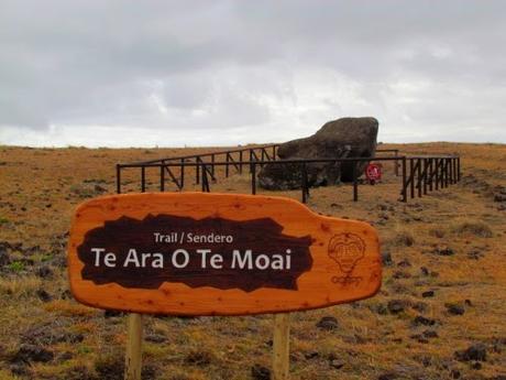 El Te Moai. Camino del moai. Rapa Nui El Te Moai. Camino del moai. Rapa Nui