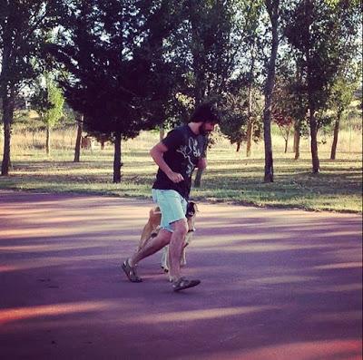 8 preguntas que debes contestarte antes de entrenar con tu perro 8 preguntas que debes contestarte antes de entrenar con tu perro