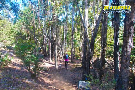 Festival de Andinísmo Cordillera Blanca 2015 Ultra Trail En Huaraz 2015