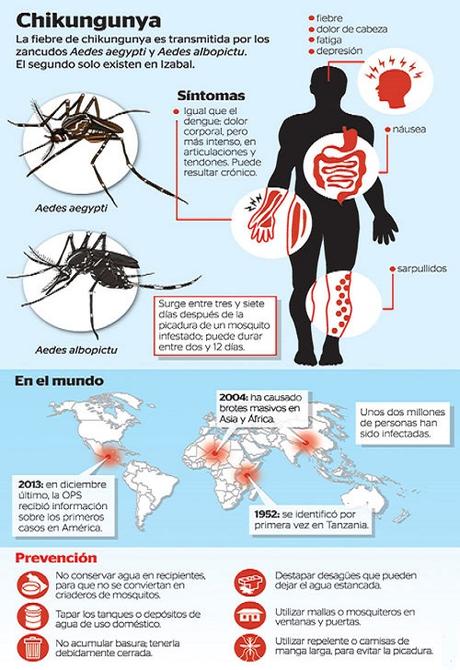 Cómo prevenir e identificar la fiebre del Chikungunya