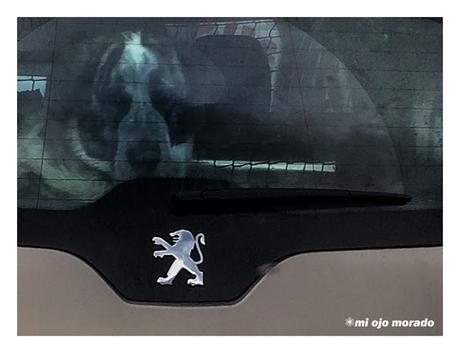 Espíritu de león Espíritu de león