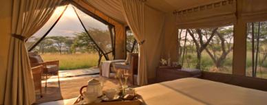 El glamping, lujo al aire libre www.glamping.com