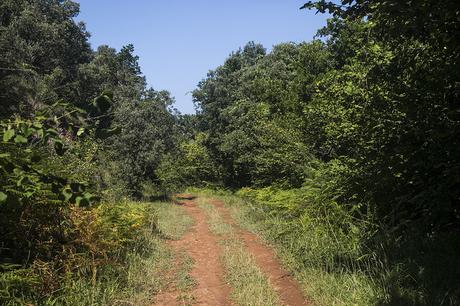 Pozos de Valcaba