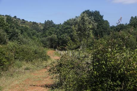 Paraje Pozos de Valcaba