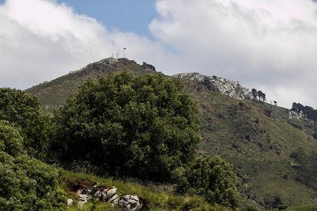 Parque de Cabarceno