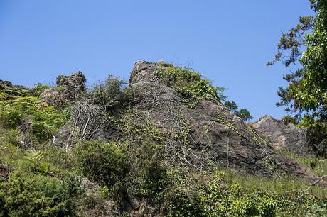 Parque de la Naturaleza de Cabárceno