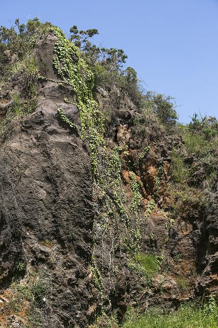 Parque de la Naturaleza de Cabárceno