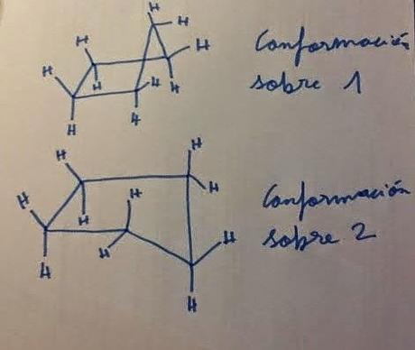 Cicloalcanos Cicloalcanos