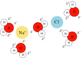 Panorámica de las fuerzas intermoleculares