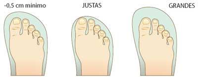 ELIGE BIEN TUS ZAPATILLAS DE DEPORTE ELIGE BIEN TUS ZAPATILLAS DE DEPORTE