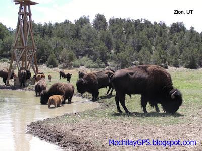 El oeste de Estados Unidos I: de Los Ángeles a Jackson Hole El oeste de Estados Unidos I: de Los Ángeles a Jackson Hole