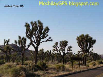 El oeste de Estados Unidos I: de Los Ángeles a Jackson Hole El oeste de Estados Unidos I: de Los Ángeles a Jackson Hole