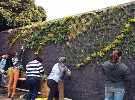 Curso de jardines verticales Bogotá