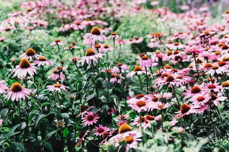 The High Line High_Line_Park-NYC-Levis-Shirt-Off_The_Shoulders-Live_on_Levis-New_York-Collage_Vintage-Outfit-Soludos_Espadrilles-15