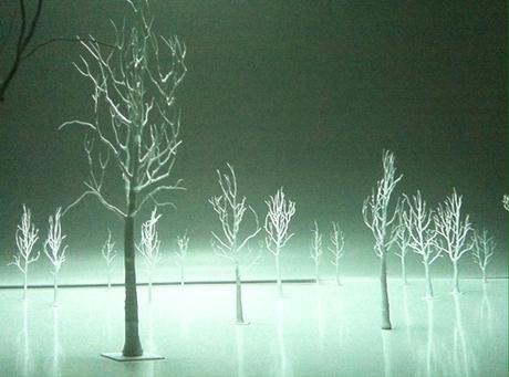 La muestra del mes: La importancia de mirar y la excusa belga para celebrar el atractivo del arte + contemporáneo. la foto 4