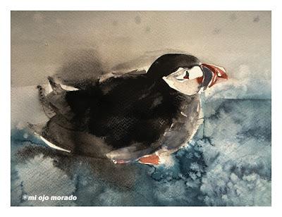 Ese pájaro entrañable: frailecillo, lundi o puffin