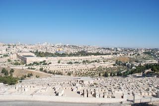 MONTE DE LOS OLIVOS MONTE DE LOS OLIVOS