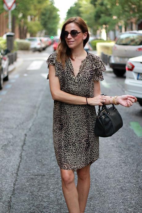 animal print animal print