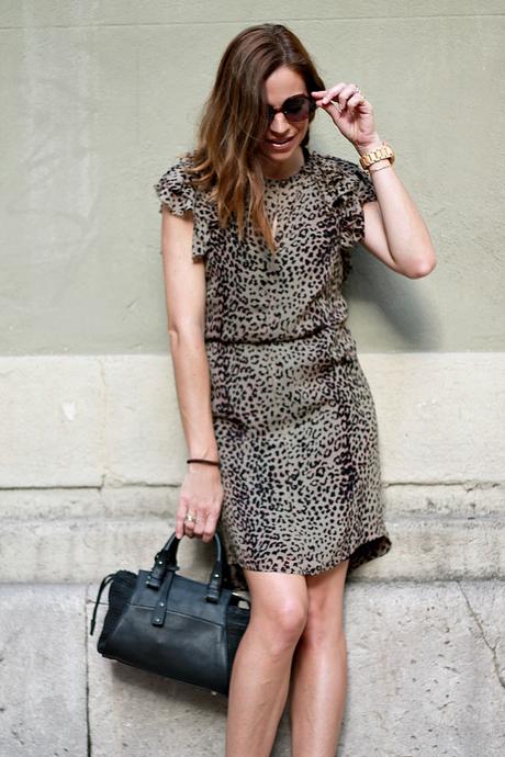 animal print animal print