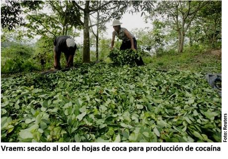 Desde Perú: Producción de cocaína; seis años sin cifras oficiales.