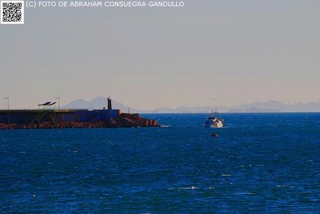 TURISTAespaña: Reportaje o collage fotográfico junto a la mar alicantina de Torrevieja...