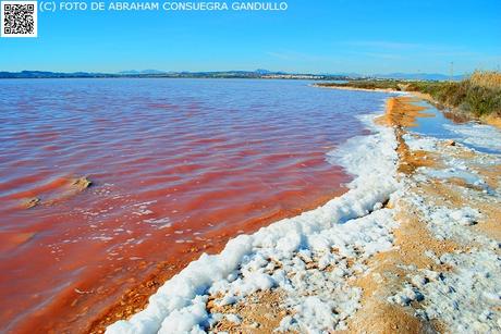 TURISTAespaña: Reportaje o collage fotográfico junto a la mar alicantina de Torrevieja...