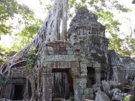 Cumpliendo sueños viajeros : Siam Reap y los Templos de Angkor