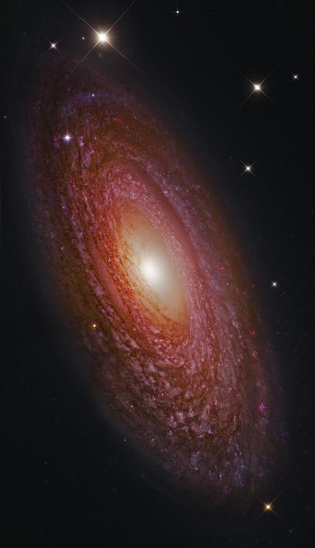 La masiva galaxia espiral cercana NGC 2841