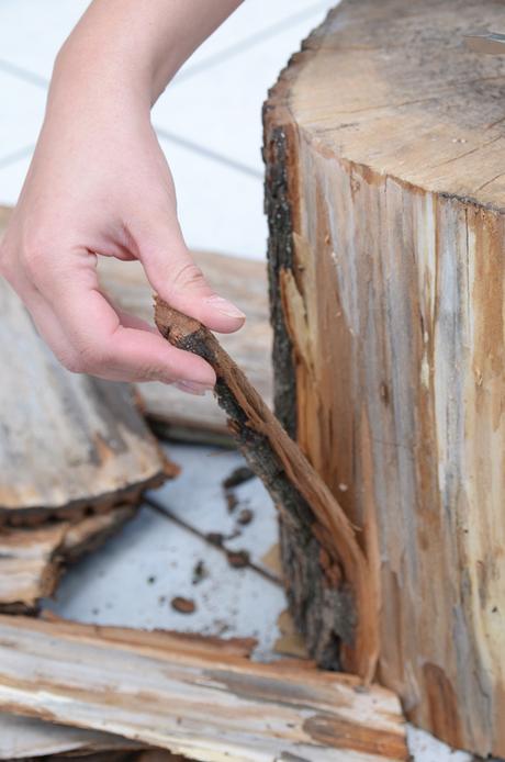 UN ORIGINAL VELADOR CON UN TOCÓN DE MADERA. UN ORIGINAL VELADOR CON UN TOCÓN DE MADERA.