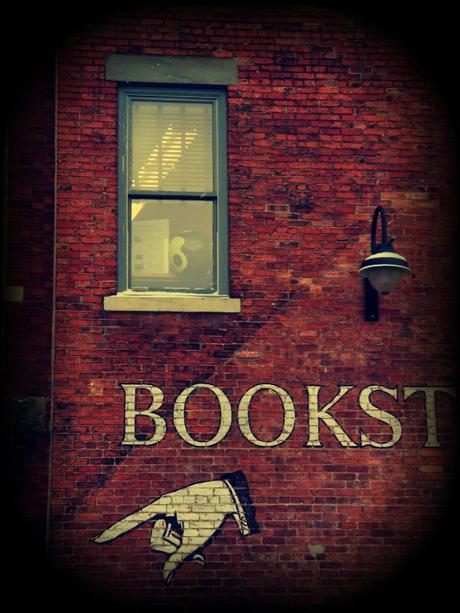 24 Preguntas al Lector. The Irresistible Flame to a Moth #books #novels #read #reading