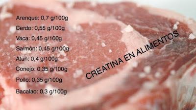 Guía de uso de la creatina Guía de uso de la creatina