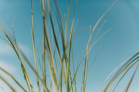 Flying Point Beach Flying_Point_Beach-The_Hamptons-Striped_Shorts-Saylor_NY-Espadrilles-Beach_Look-Chloe_Girls-Outfit-Revolve_In_The_Hamptons-11