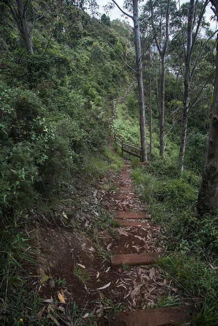 Senda de la Peña