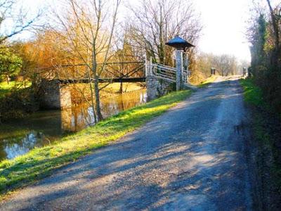 Que nada te pare los pies Que nada te pare los pies