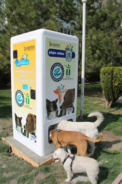 CREAN LA PRIMERA MAQUINA QUE ALIMENTA ANIMALES CALLEJEROS CUANDO DONAS UNA BOTELLA DE PLÁSTICO VACÍA !!