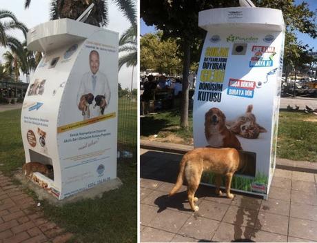 CREAN LA PRIMERA MAQUINA QUE ALIMENTA ANIMALES CALLEJEROS CUANDO DONAS UNA BOTELLA DE PLÁSTICO VACÍA !!