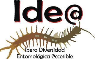 La conservación de los insectos en España, una cuestión no resuelta La conservación de los insectos en España, una cuestión no resuelta