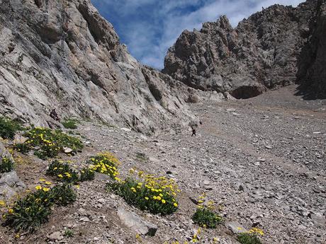 crestón del pasu malu