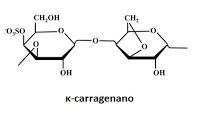κ-carragenano kappa carageenan Chondrus crispus